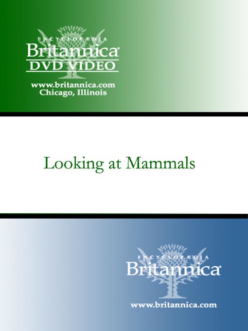 Click image to view full cover